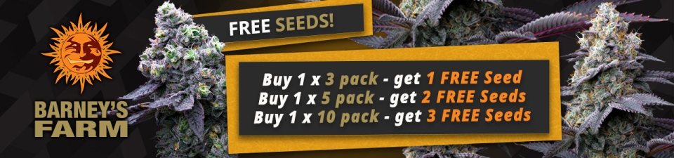 Barneys's Farm Extra Free Seeds