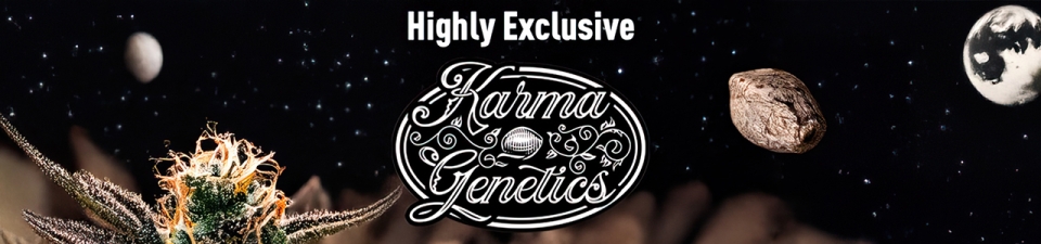 Karma Genetics