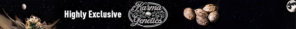 Karma Genetics