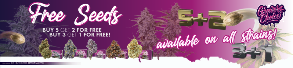 Growers Choice cannabis seeds 5+2 free offer