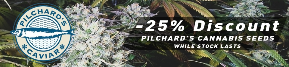 Pilchard's Sale 25% discount cannabis seeds
