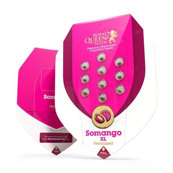 Royal Queen Seeds Somango XL
