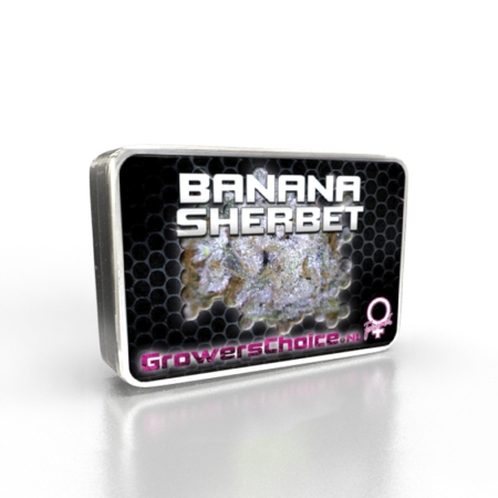 Growers Choice Banana Sherbet