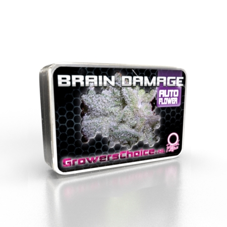 Growers Choice Braindamage Auto