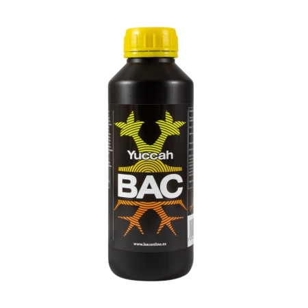 BAC BAC Yuccah