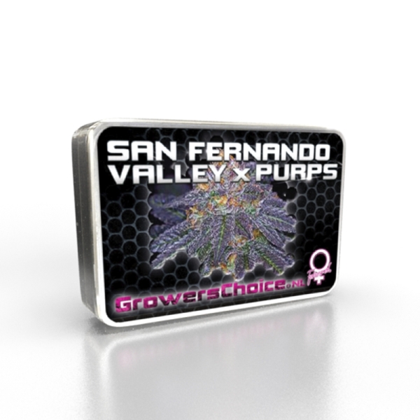Growers Choice San Fernando Valley x Purps