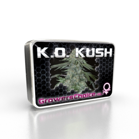 cannabis K.O. Kush di Grower's Choice