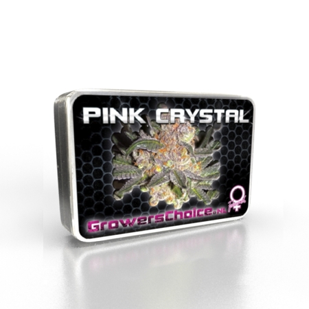 Growers Choice Pink Crystal