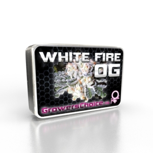 Growers Choice White Fire O.G.