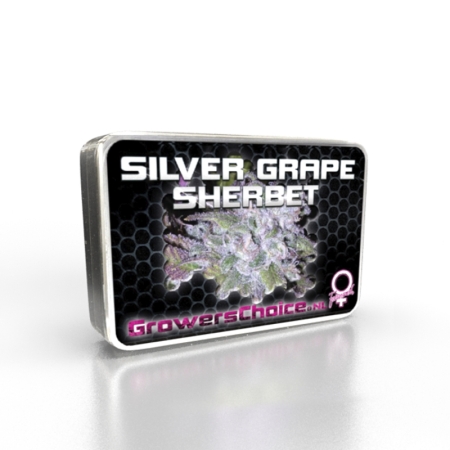 Growers Choice Silver Grape Sherbet