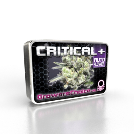 Growers Choice Critical + Autoflower