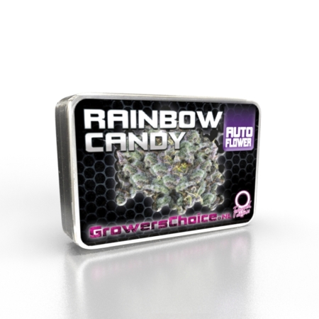 Growers Choice Rainbow Candy Autoflower