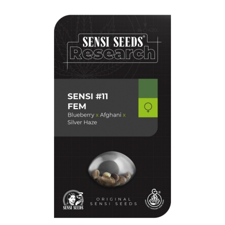 Sensi Seed Research Sensi #11 Fem