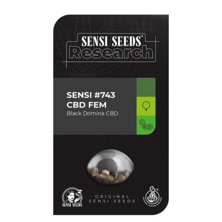 Sensi Seed Research Sensi #743 Fem