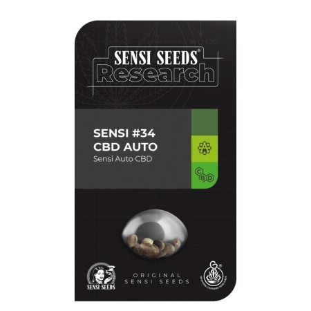 Sensi Seed Research Sensi #34 CBD Auto