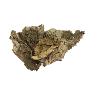 Open Up Salvia Divinorum 