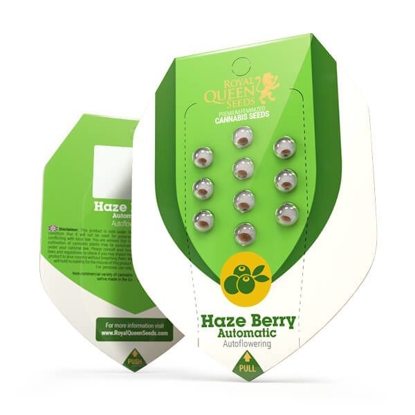 Royal Queen Seeds Haze Berry Auto