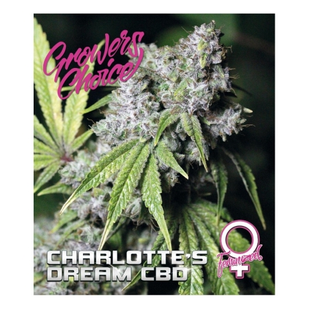 Growers Choice Charlotte's Dream CBD
