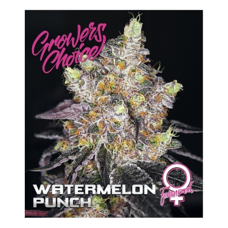 Growers Choice Watermelon Punch