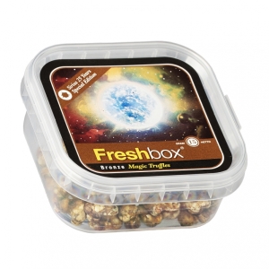 FreshBox Bronze