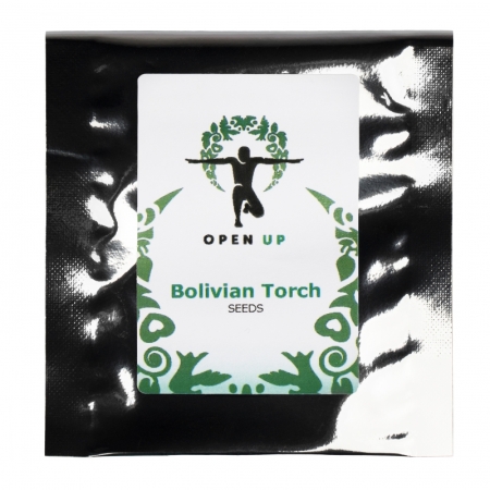 Open Up Bolivian Torch 20 zaadjes