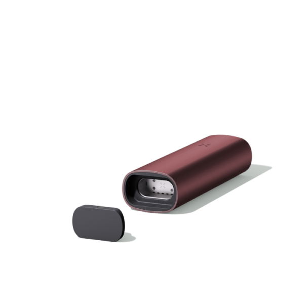 Pax 3 borgonha