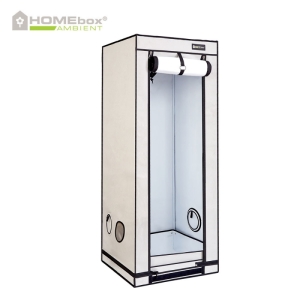 Homebox Ambiente Q60+