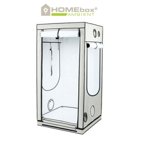 Homebox Ambient Q100