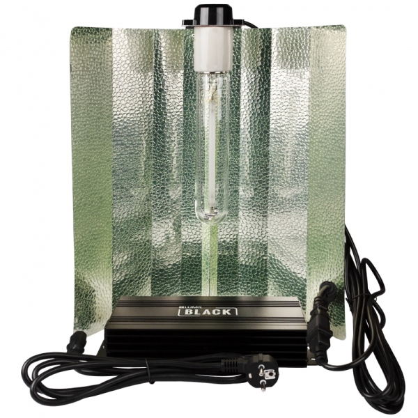 LUMii Lighting Zestaw LUMii Czarny 600 W