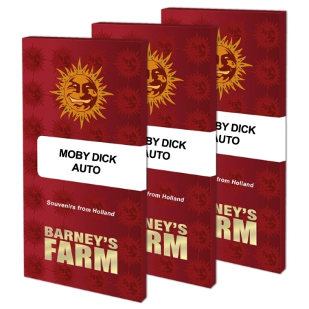 semi di cannabis Moby Dick autofiorenti di Barney's Farm