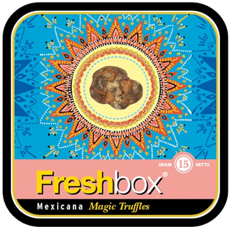 mexicana magic truffle