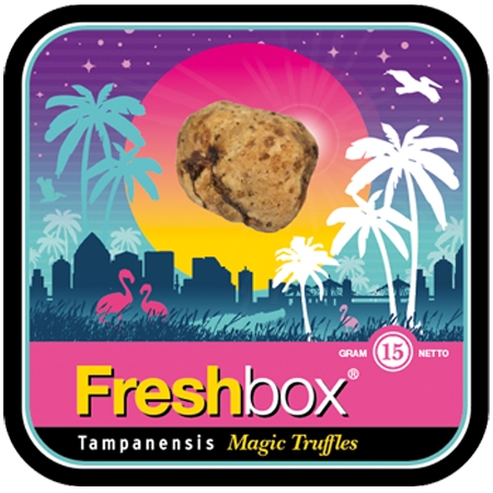 tampanensis magic truffles