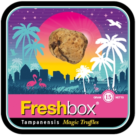 Freshbox Tampanensis