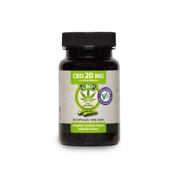 Jacob Hooy 30 Kapsułki CBD 20 mg