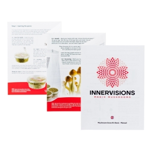Innervisions leeg