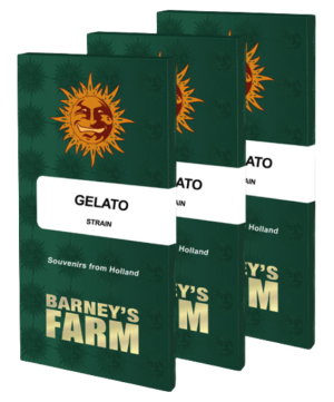 Barney's Farm Leeg artikel