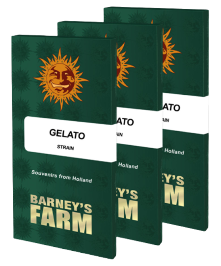 Barney's Farm Gelato