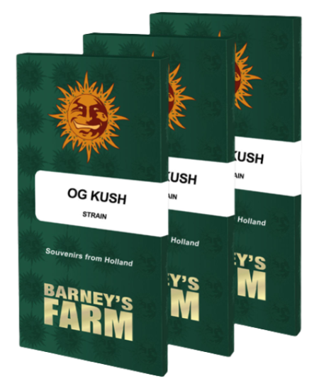Barney's Farm OG Kush