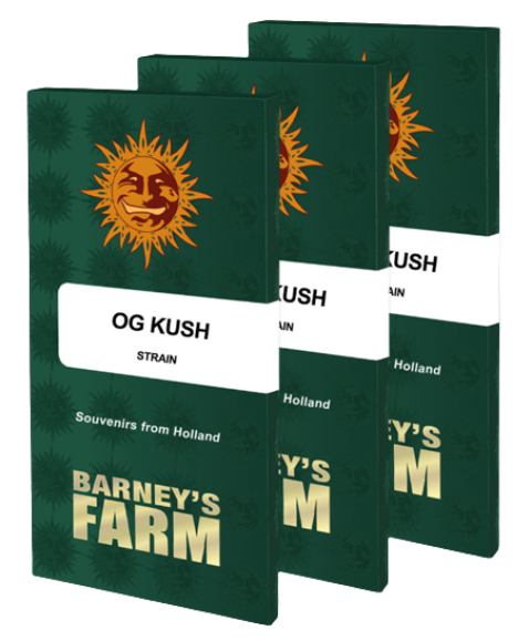 Barney's Farm OG Kush