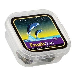 FreshBox Dolphins Delight