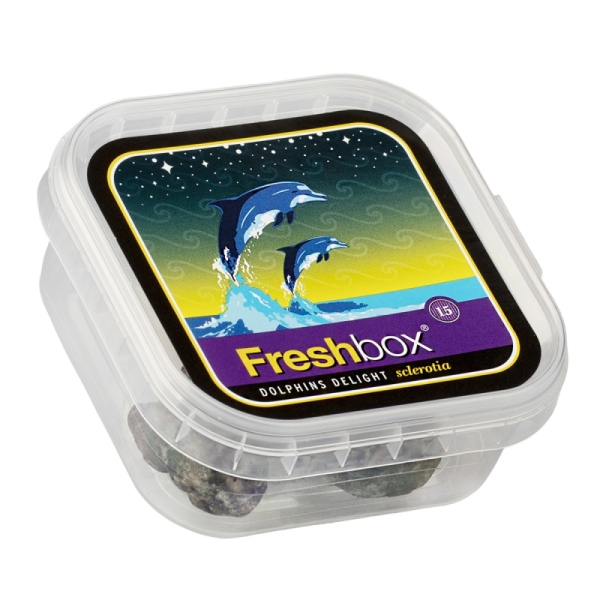 FreshBox Dolphins Delight