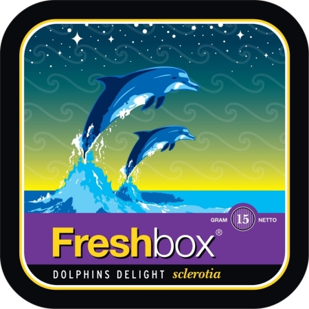 FreshBox Dolphins Delight