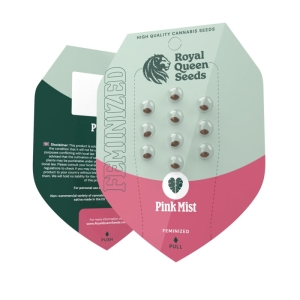 Pink Mist Royal Queen Seeds