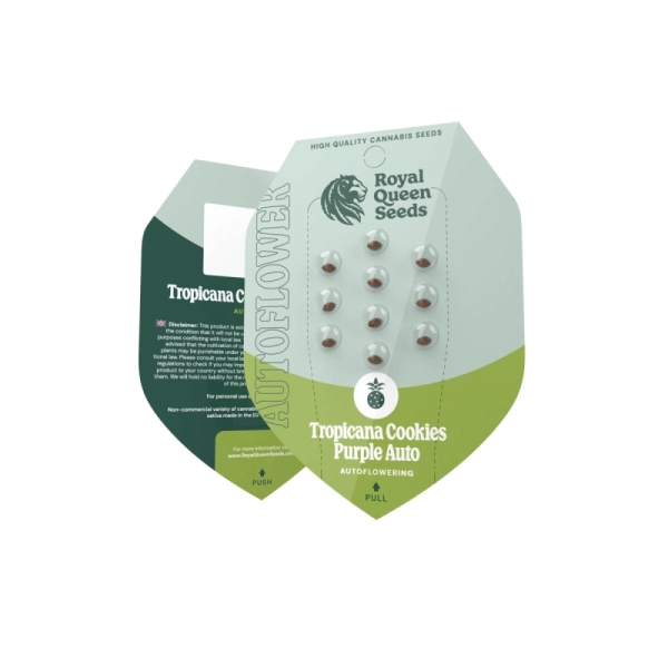 Tropicana Cookies Purple Auto Royal Queen Seeds