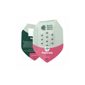 Mexican Rush Royal Queen Seeds