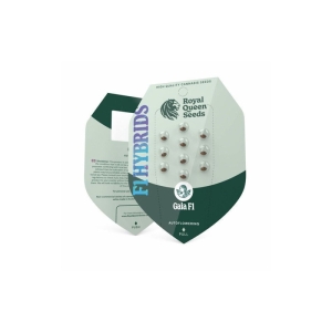 Gaia F1 Royal Queen Seeds 