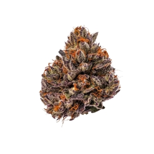 Tropicana Cherry Triploid F1 Growers Choice strain