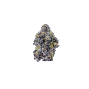 Sticky Wasabi Triploid F1