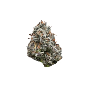BF Black Cherry Gushers