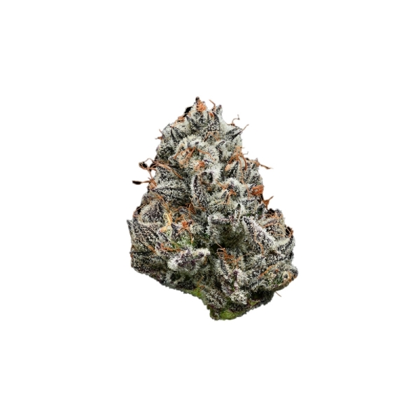 BF Black Cherry Gushers